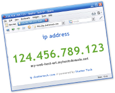 Lo spazio su internet incomincia a scarseggiare: Vendita di indirizzi IP