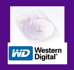western Digital: In commercio il modello di puntaRE4-GP  con dischi da 2TB